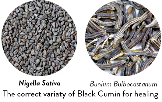 black-cumin-variety